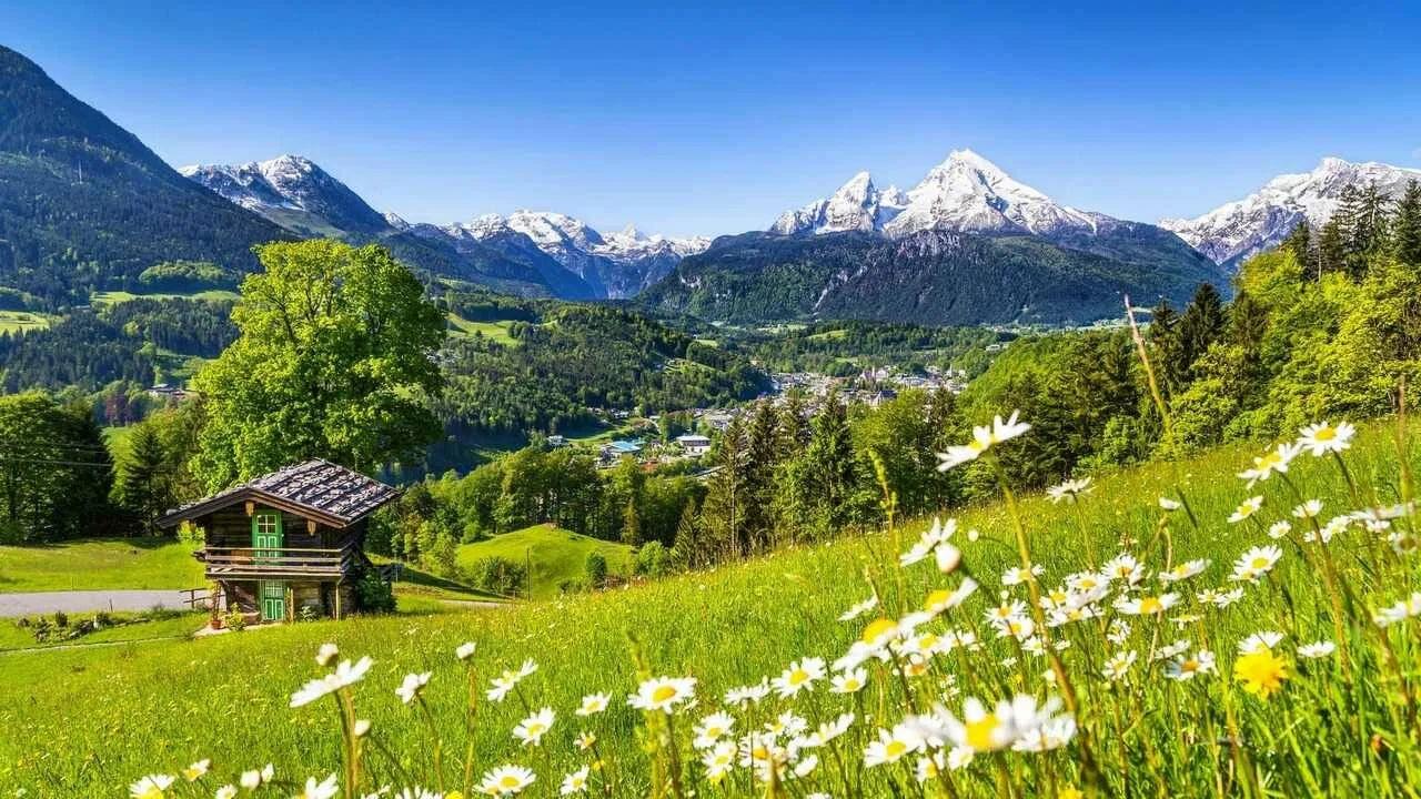 Landscape
