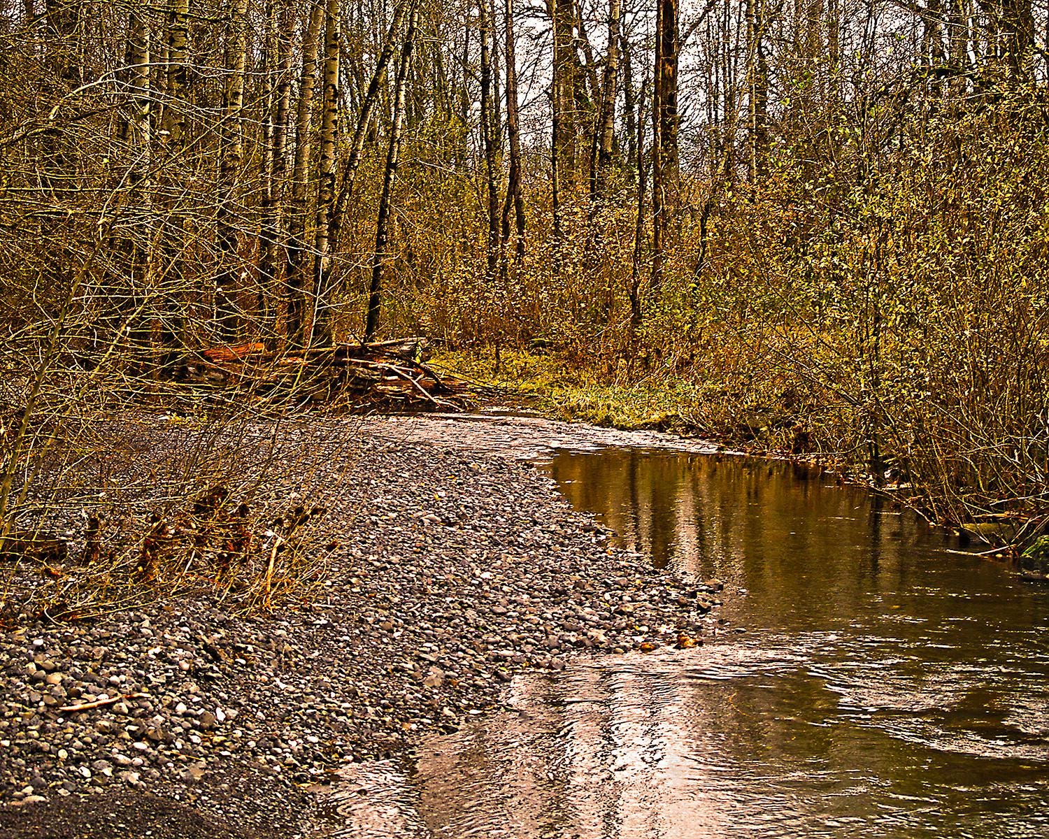 Creek Water        Fine Art Photography Print, Nature Wall Decor, River Landscape, Scenic Outdoor Artwork,