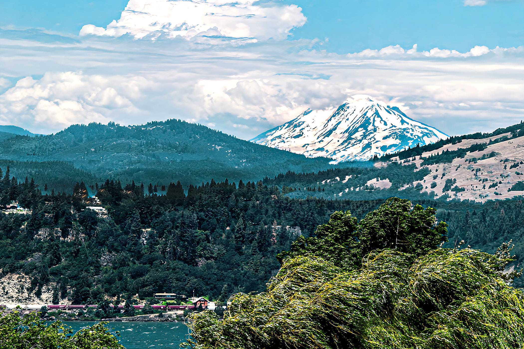 Vibrant scenic landscape of snow-capped mountain, dense pine forest, and windy trees near a calm river — high-resolution digital download nature wall art for home or office decor.