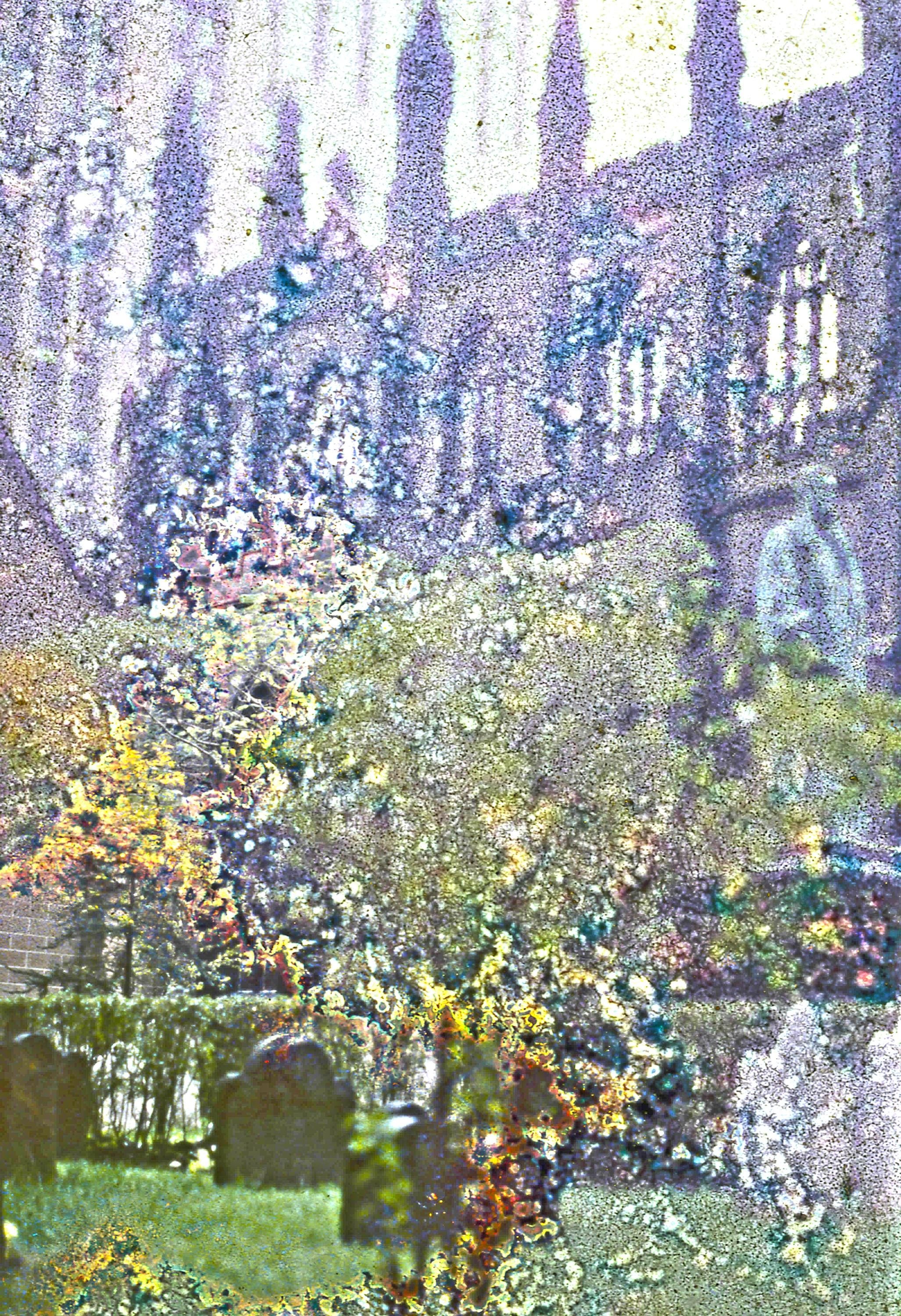 Garden beauty in abstract high-resolution digital download | Soothing colors, meditative decor, nature-inspired art any room, wall art