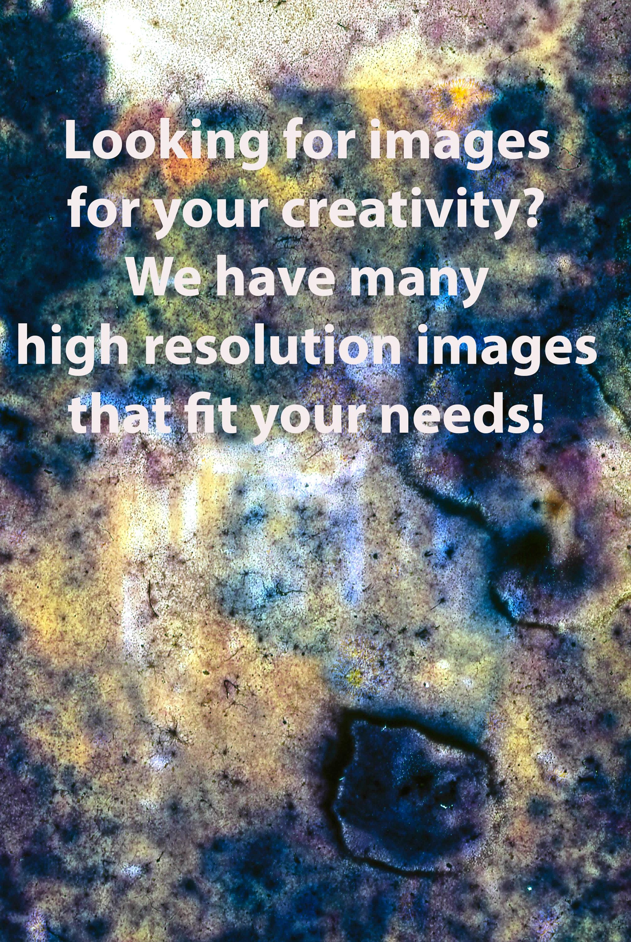 Jesus and Dog Portrait: Vibrant Christian Art (Digital Download)