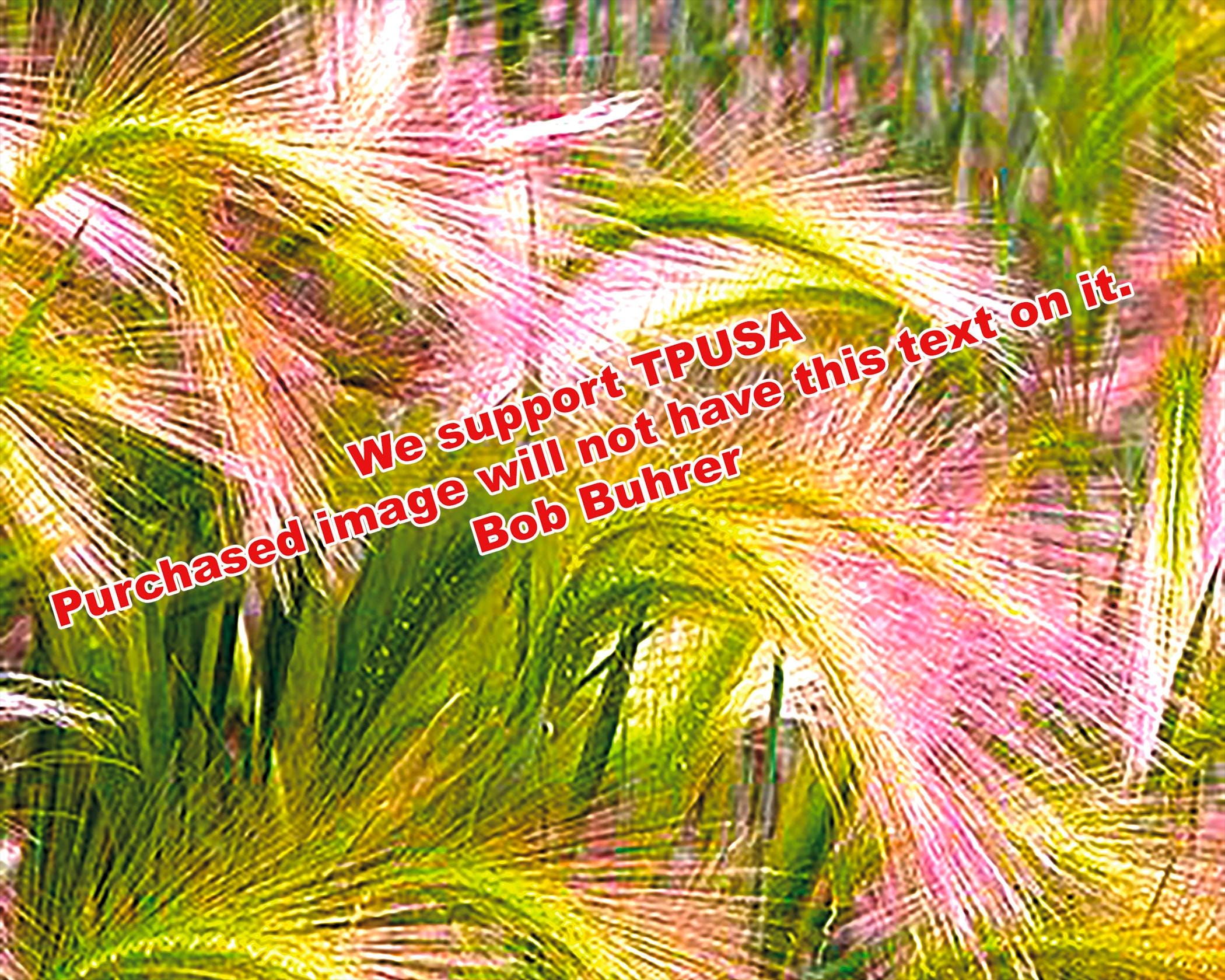 Plant - Colorful Wall Art Printable, Abstract Art Print,Modern Home Decor, Vibrant Art for Living Room, DIY Crafts Printable