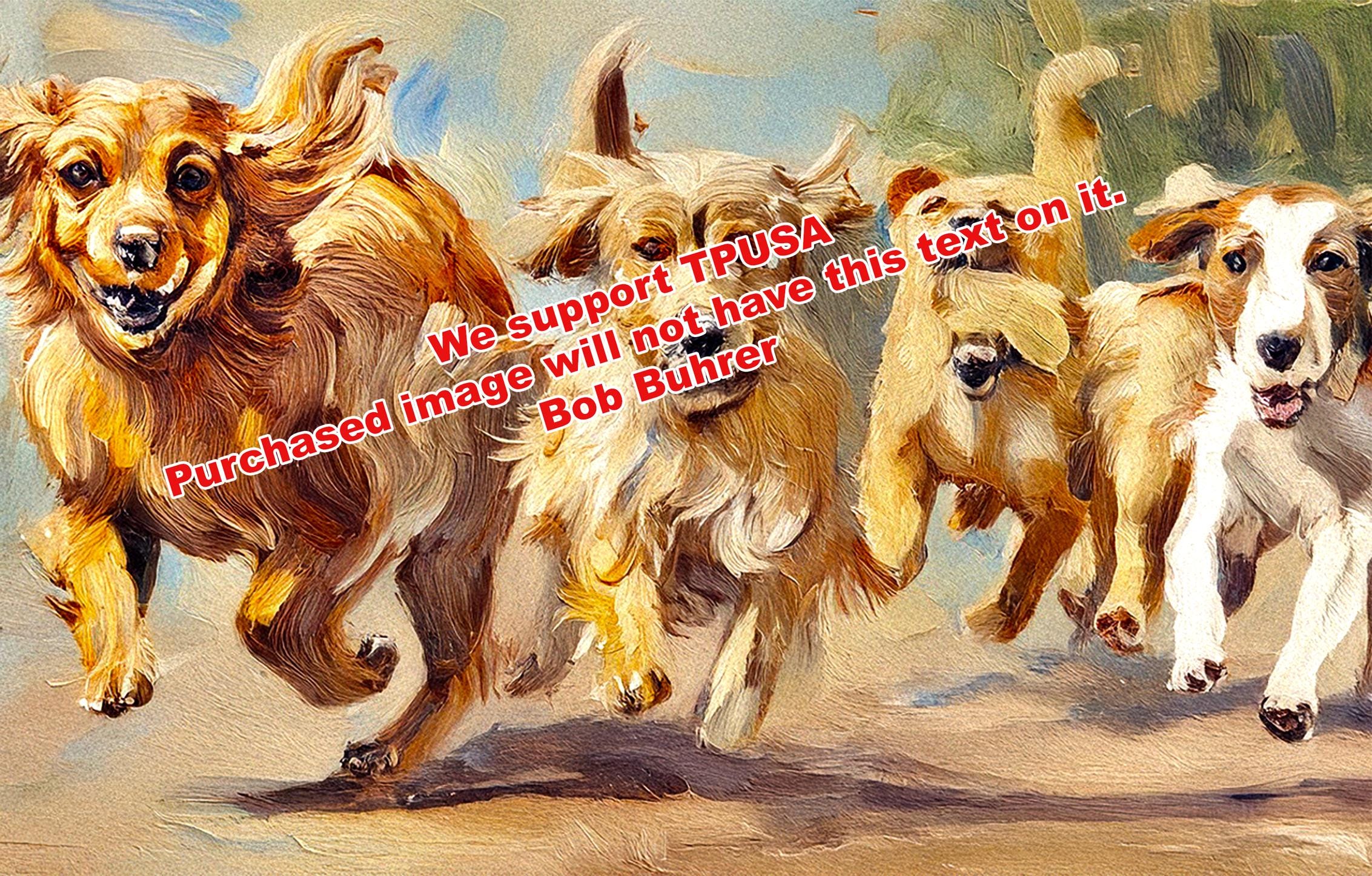 Four Dogs - Digital wall art, vibrant home decor printable, modern art for living room, colorful gallery wall, DIY craft digital download