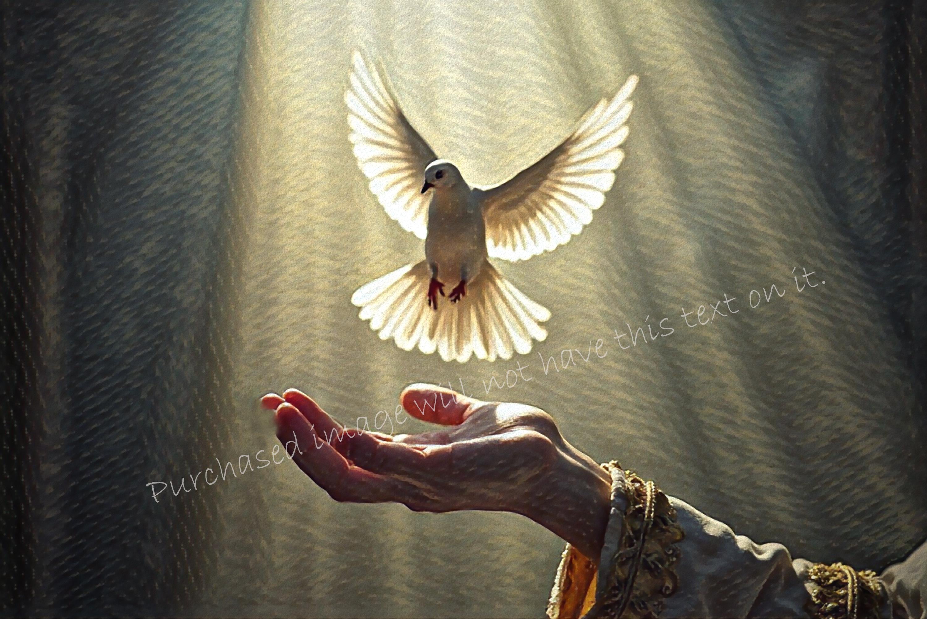 Dove Art Print: Christian Home Decor, Religious Gift (Digital Download)