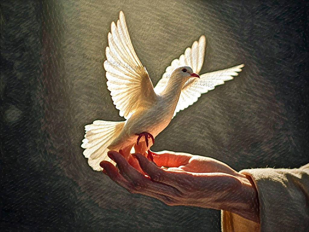 Bird Calling Dove Perched on Hand, Peace and Hope Illustration, Modern Home Decor, Printable Art for Living Room, Instant Download Gift